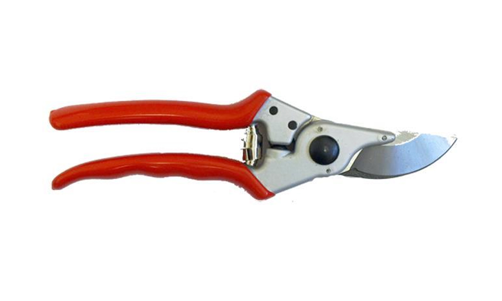 Bypass Pruner