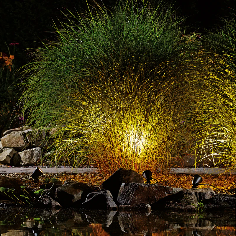 Dramatise Your Pond with Lighting: Tips and Techniques