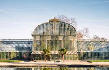 How to Cool Your Greenhouse: Be a Master of Heat Transfer