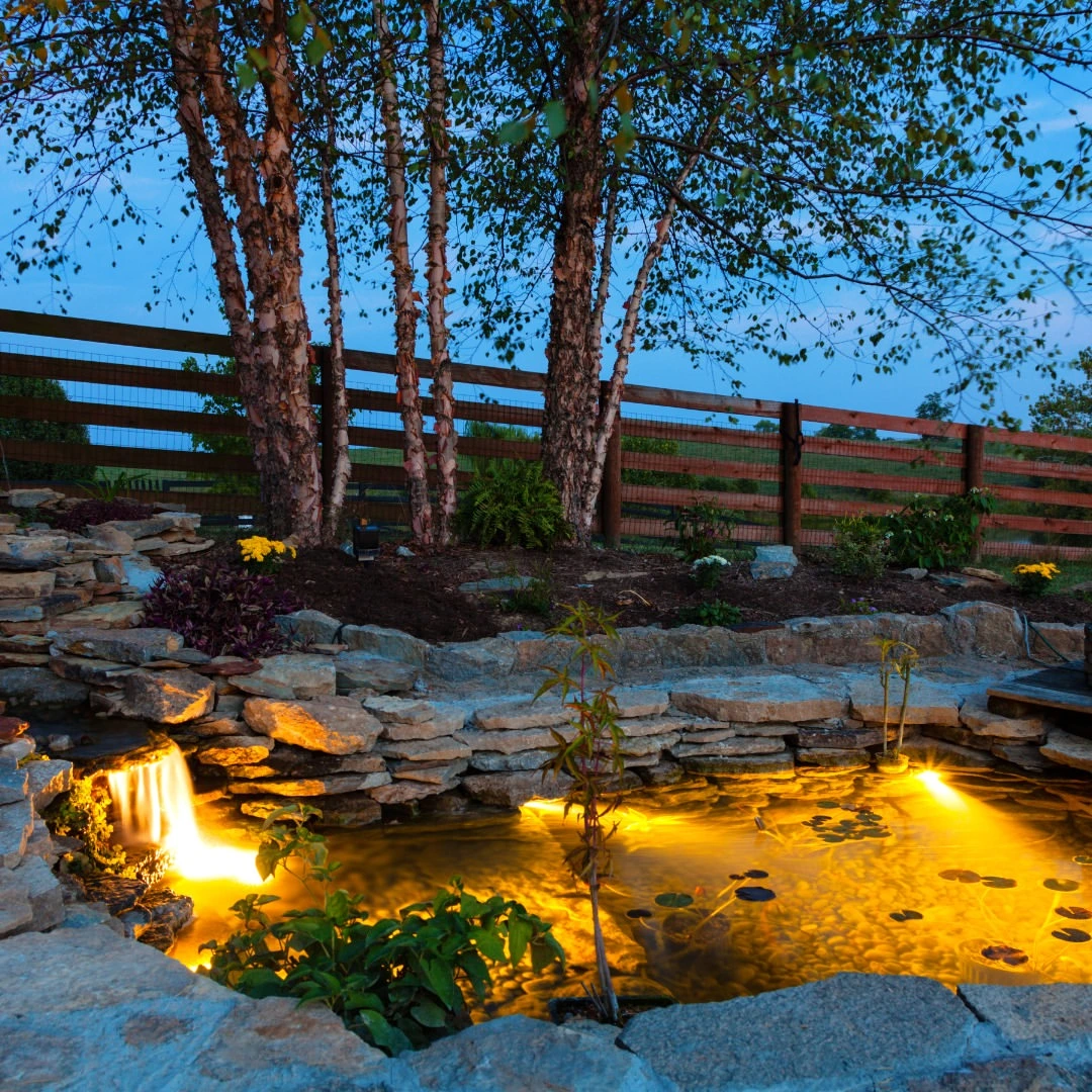 Pond Lighting Ideas: Illuminate Your Water Feature at Night