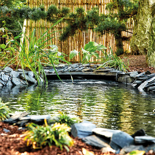 What Is Pond Filtration and Why It’s Essential for Ponds?